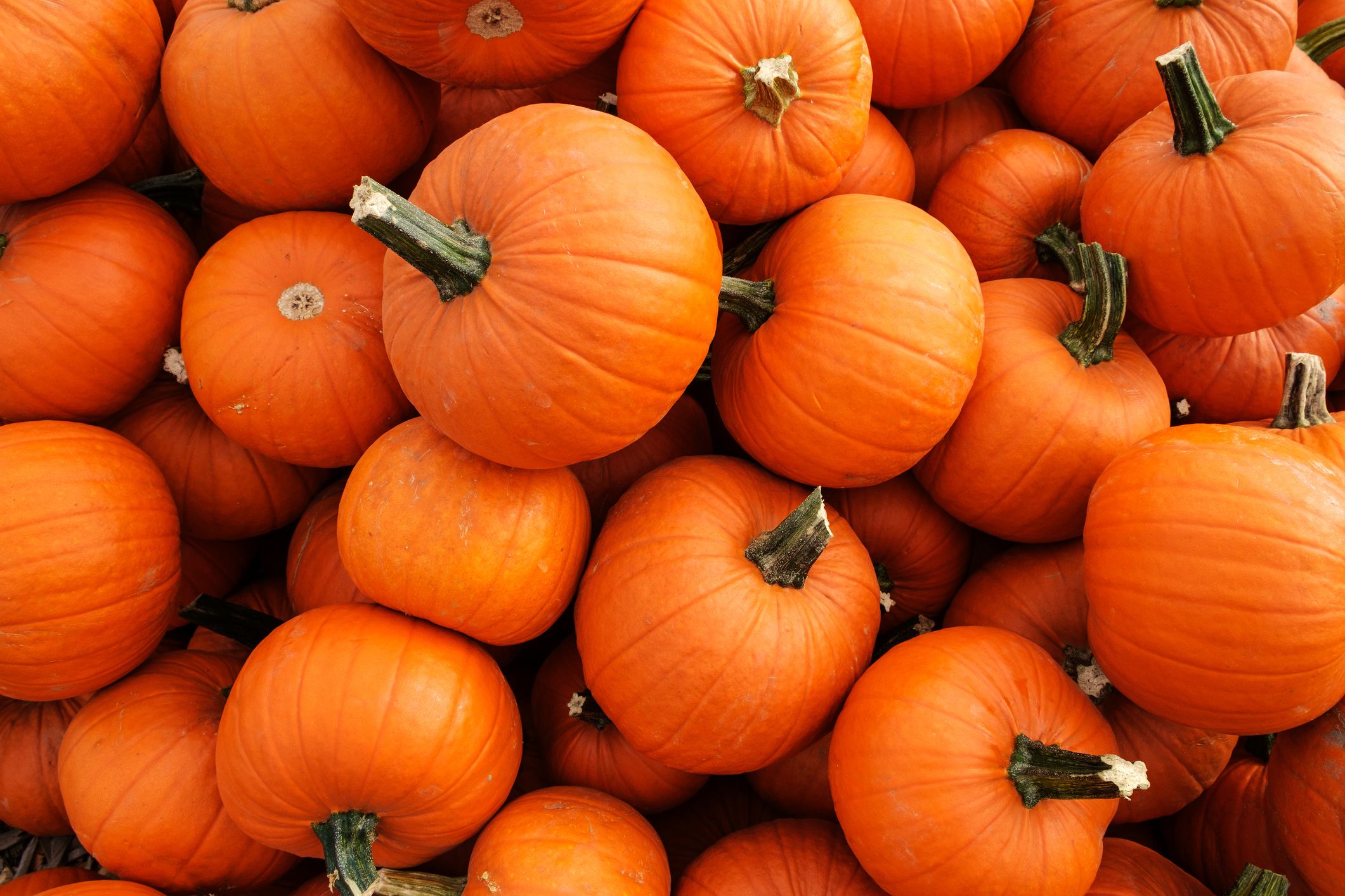 pumpkins-1529604270